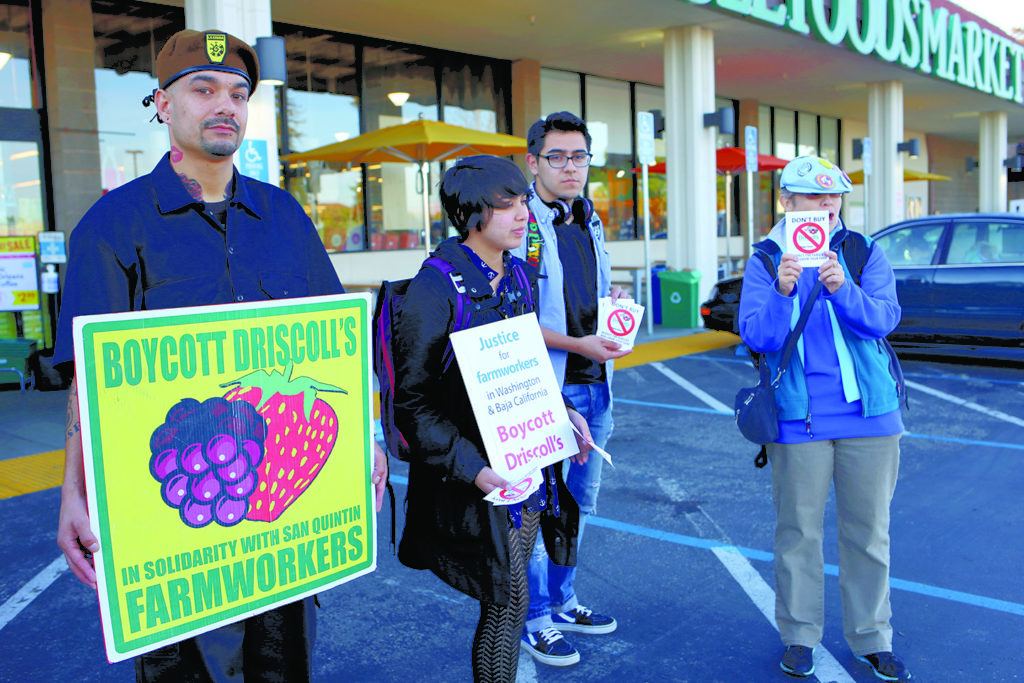 (From left to right) Michael Garcia, Ruby Campos, Oscar Montiel and Willow Katz demonstrated in front of the Whole Foods on Soquel Avenue on Feb. 27. They were part of a group of protesters asking people to boycott Driscoll’s fruit in solidarity with farmworkers in Washington and Baja California, who allegedly experience unfit working conditions. Photo by Calyse Tobias