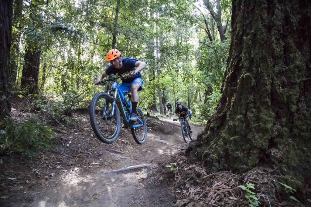 Mark Tinglewald (front) and Walker Busby (behind), both members of the UCSC mountain biking team, shred down the Emma McCrary Trail in Pogonip, one of the legal single-track trails in Santa Cruz. Photo by Jasper Lyons