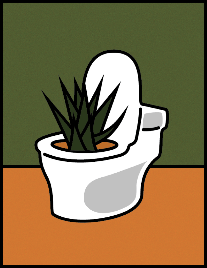 What Your Room Decor Says About You City on a Hill Press