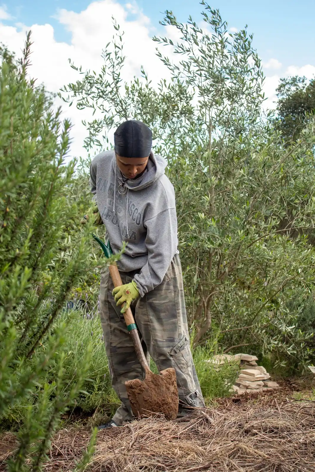Sprouting Success: The Revival of the Stevenson Garden - City on a Hill Press